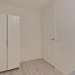 Hertogstraat H Modern 4p Apartman Eindhove